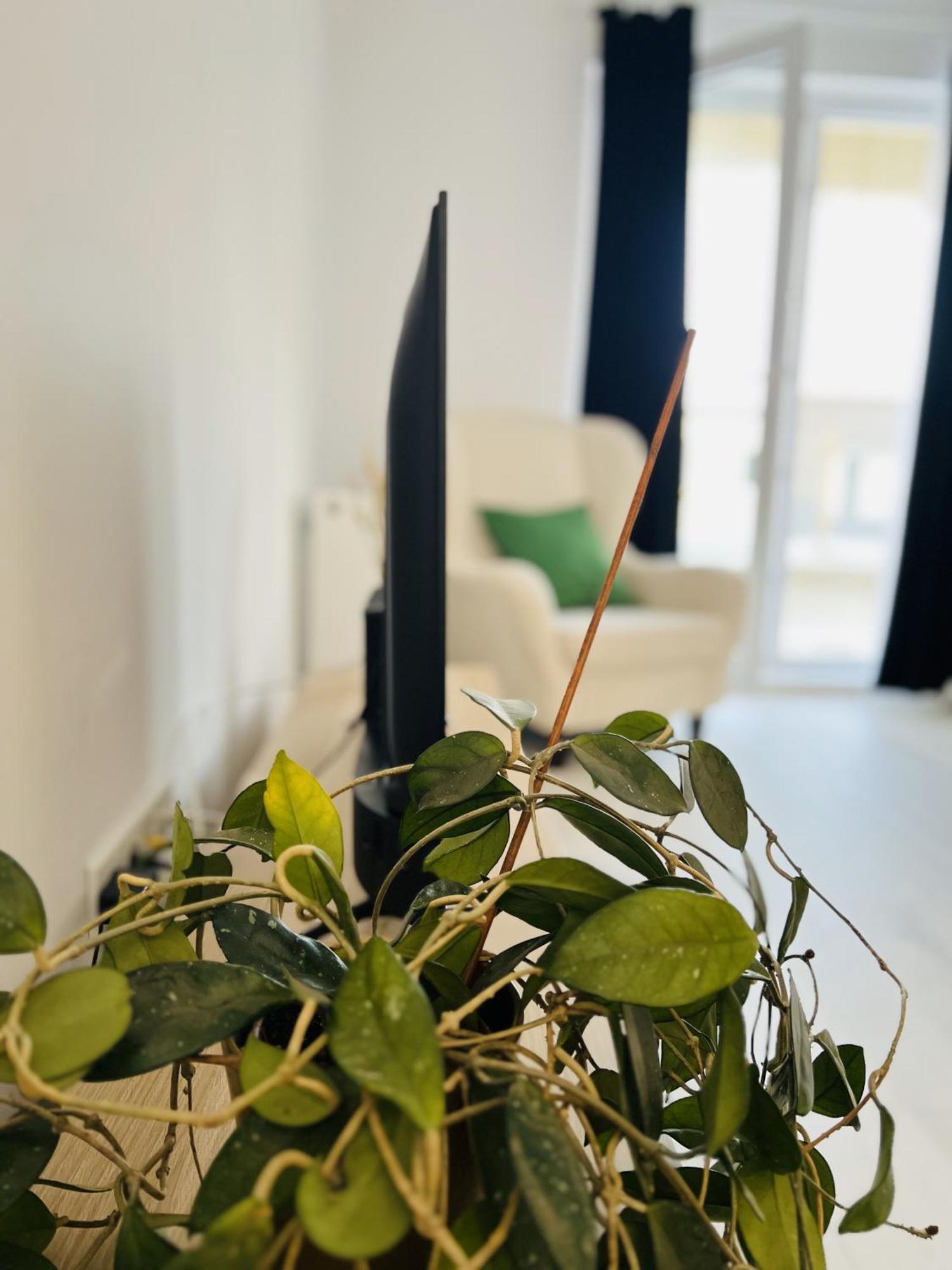 Airport Gardens Loft Apartment Otopeni Exterior foto